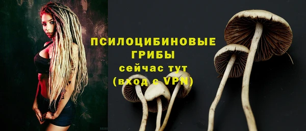 прущий лед Горнозаводск