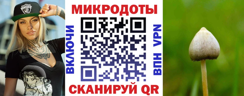 Псилоцибиновые грибы ЛСД  закладка  kraken ссылки  Отрадный 